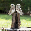 Two hand carved, smooth wooden barn owls perched on a teak root base.