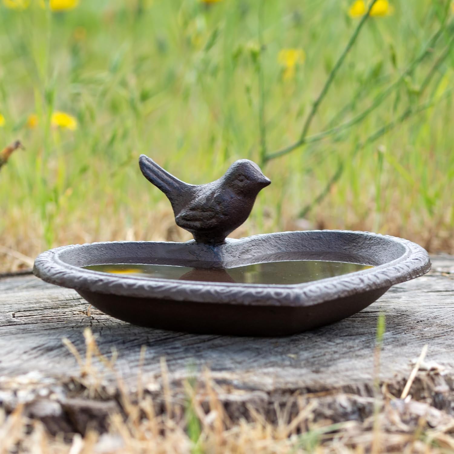Cast Iron Heart Shaped Bird Bath