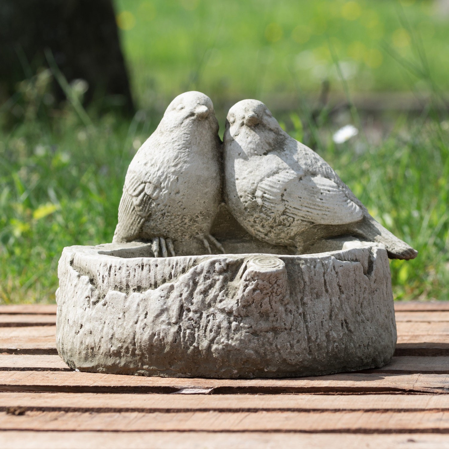 Steinrotkehlchen auf Baumstamm-Vogelhäuschen