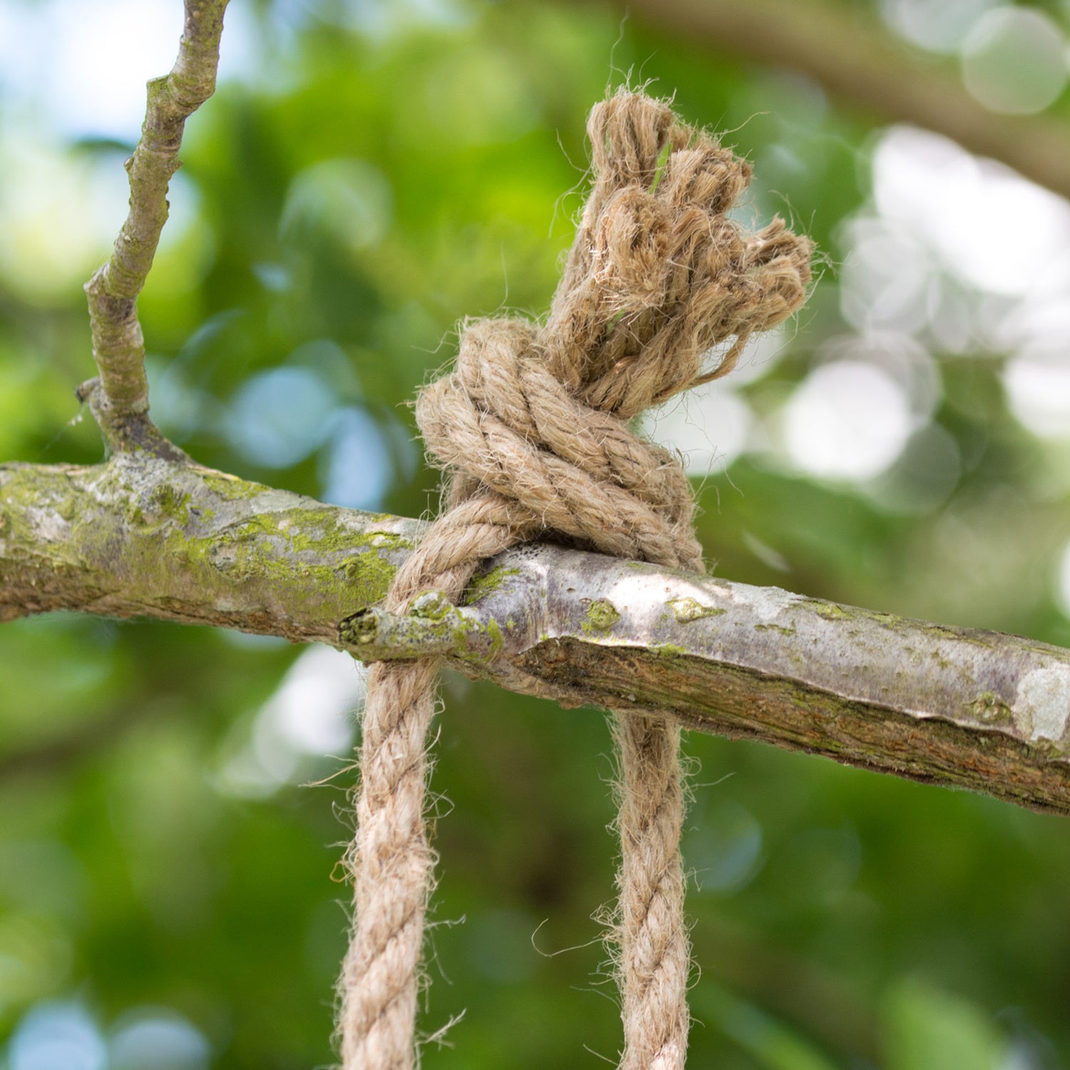 Hanging Upside Down Monkey Ornament