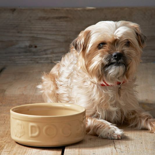 Mason Cash Cane Dog Bowl 18cm