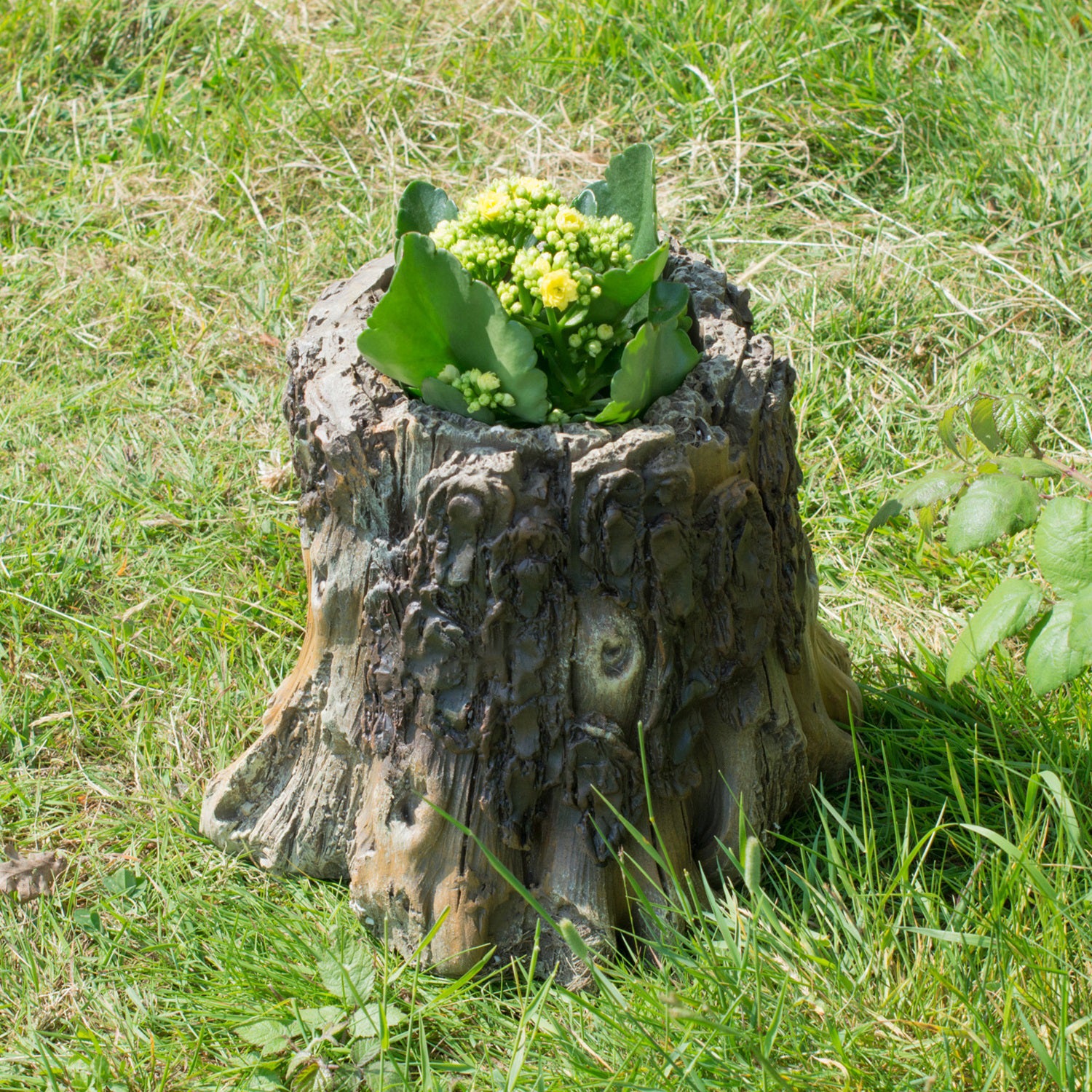 Greenman Tree Stump Planter