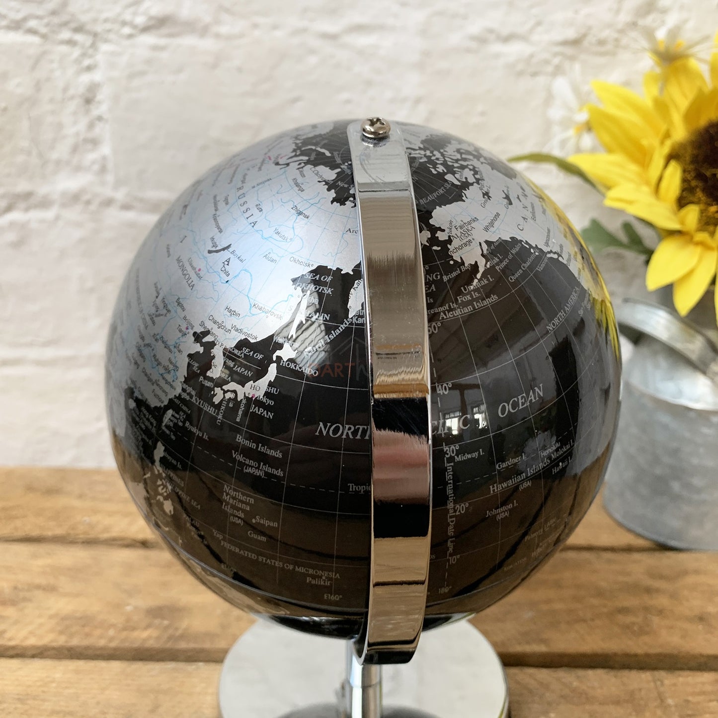 Black And Silver Globe