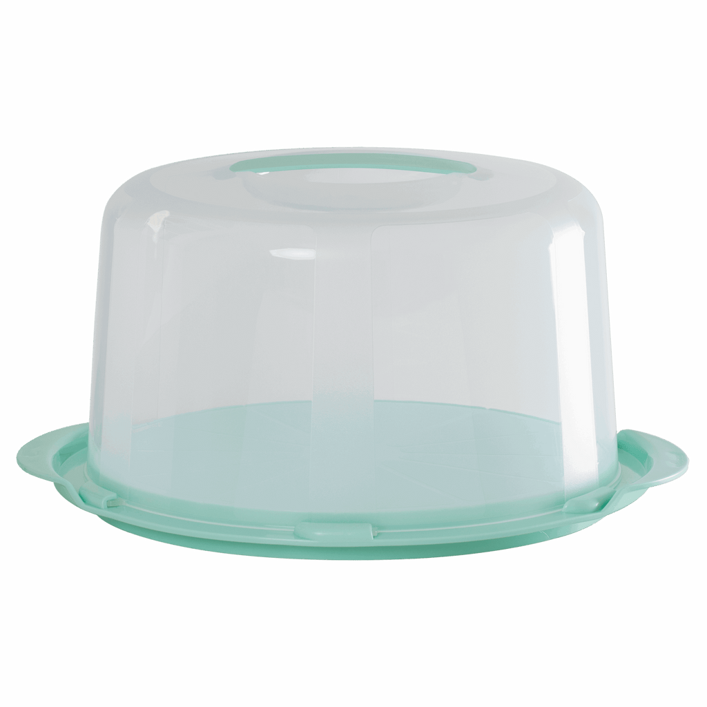 Large Mint Green Deep Round Cake Dome