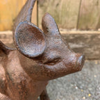 Sitting Angel Pig Sculpture