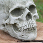 Stone Human Skull Sculpture