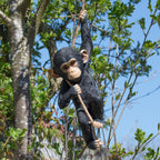 Large Climbing Monkey Garden Sculpture