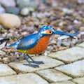 Metal Kingfisher Ornament