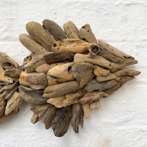 Teak Root Fish Wall Sculpture