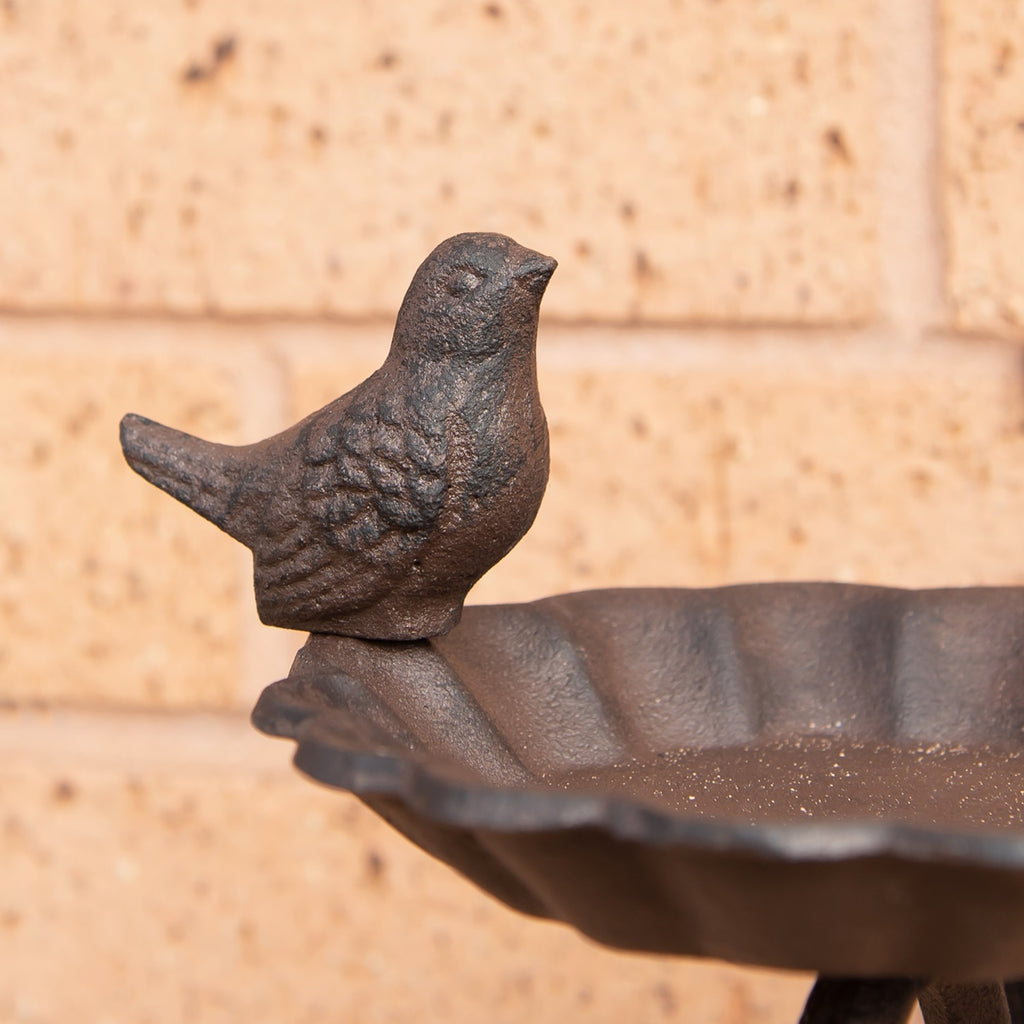 Cast Iron Bracket Bird Feeder
