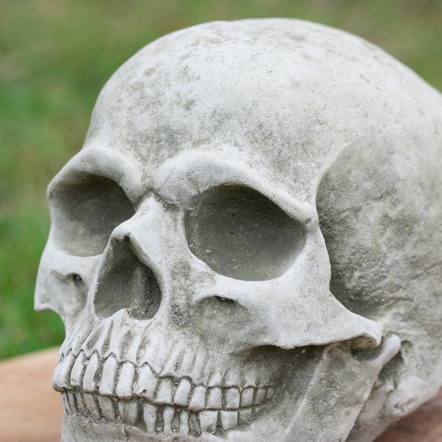 Stone Human Skull Sculpture