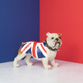 Britisches Bulldoggen-Ornament mit Union Jack
