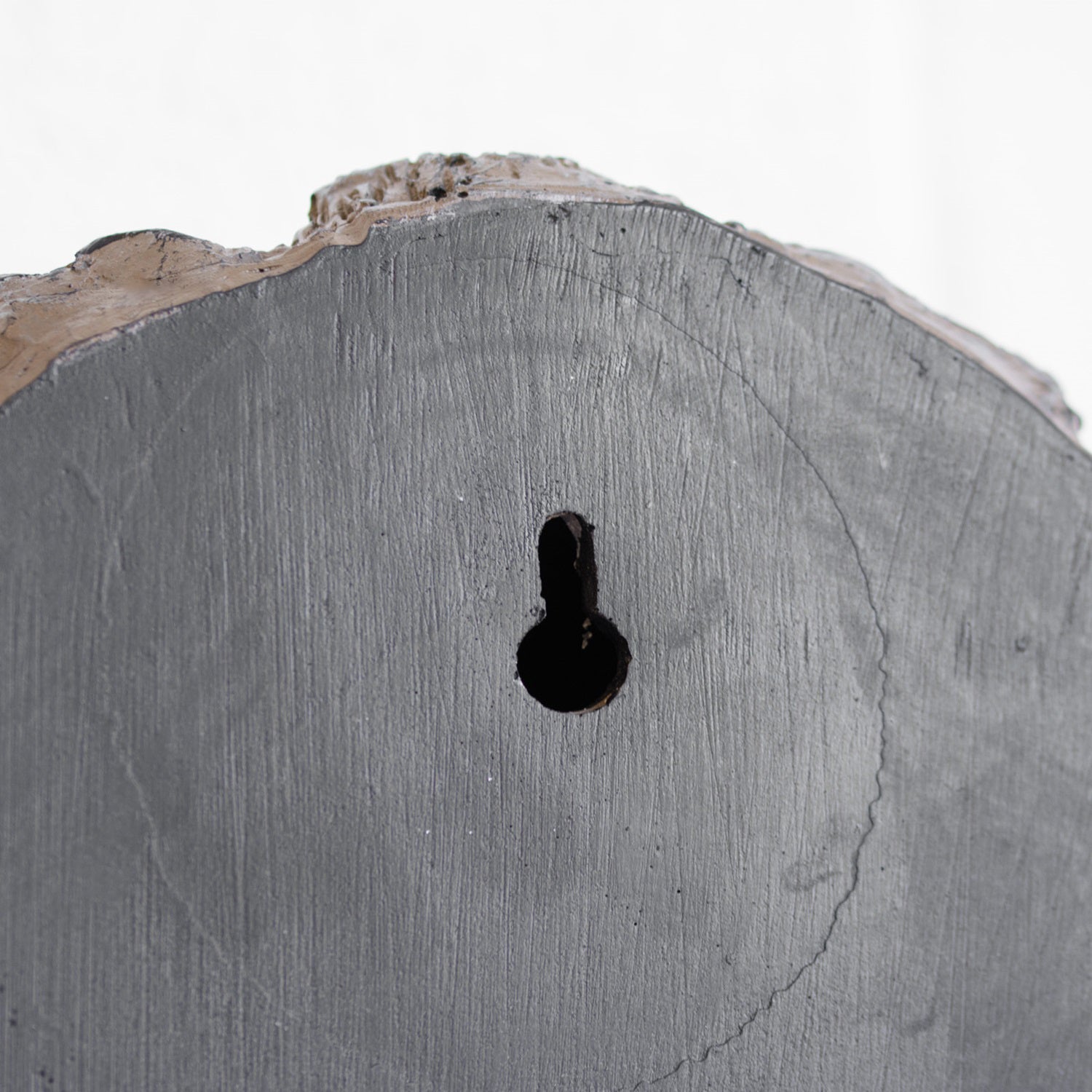 Braunbärenkopf-Wandskulptur