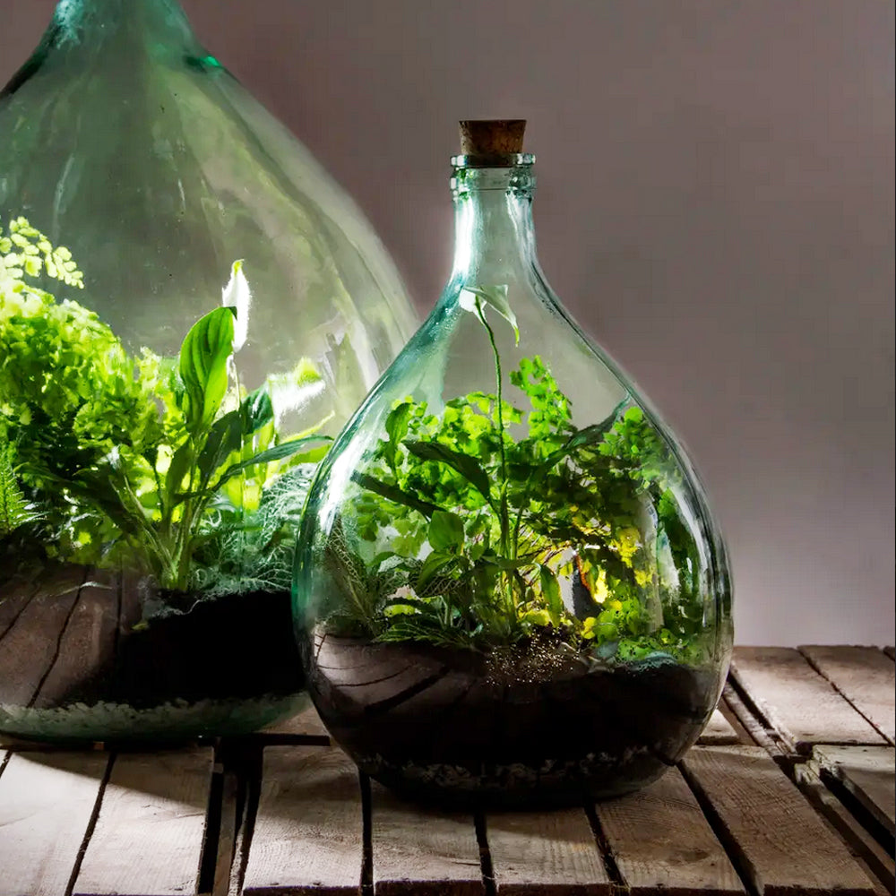 Glass Terrarium Belly Bottle Set With Tools