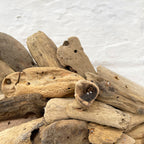 Natürliche rustikale Fisch-Wandskulptur aus Treibholz, 31 cm