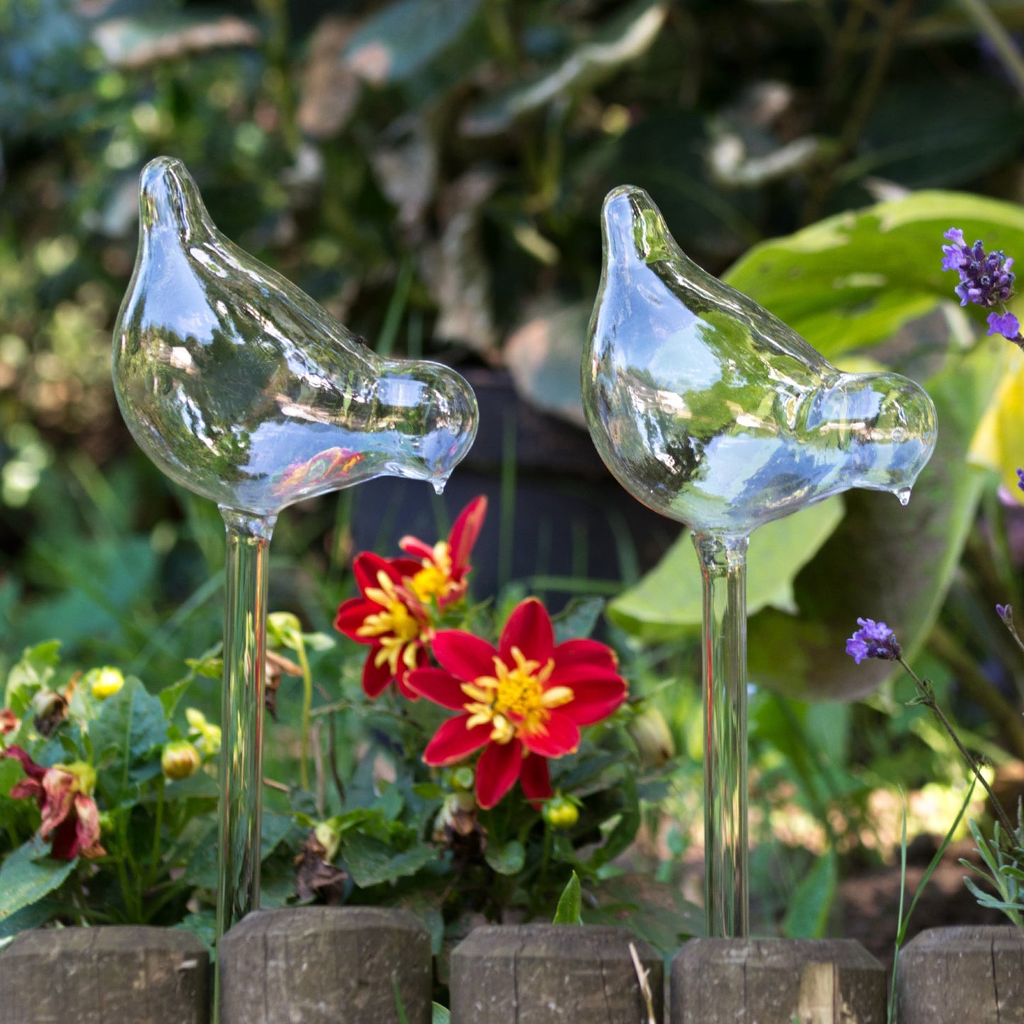 Set of 2 Bird Shaped Glass Plant Waterers