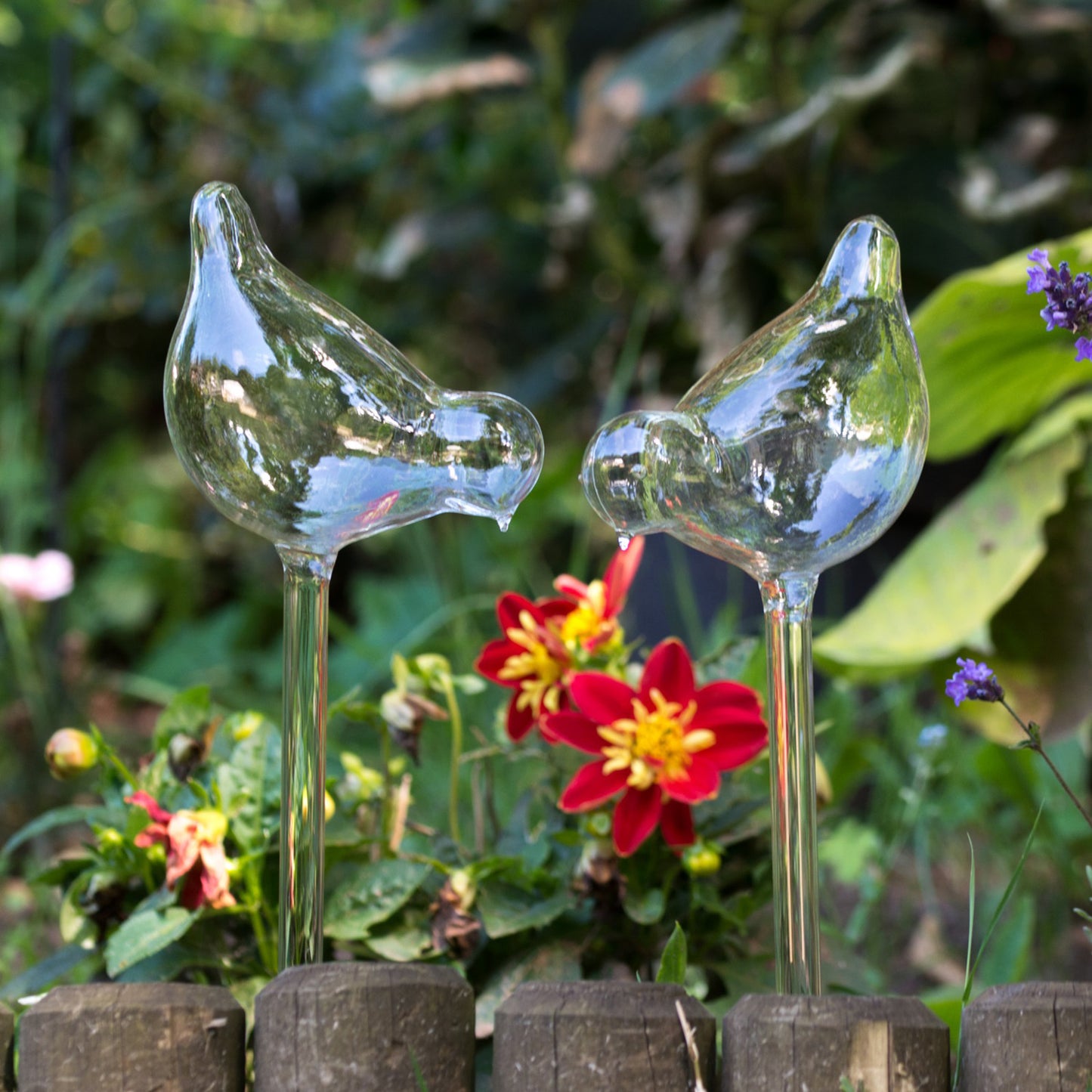 Set of 2 Bird Shaped Glass Plant Waterers