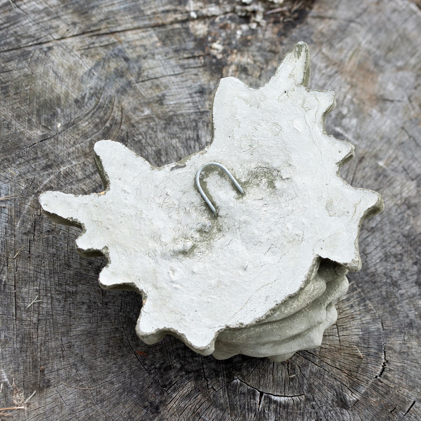 Wandschild „Bony Finger Gargoyle“ aus Stein