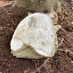 Stone Moody Gremlin Wall Garden Sculpture
