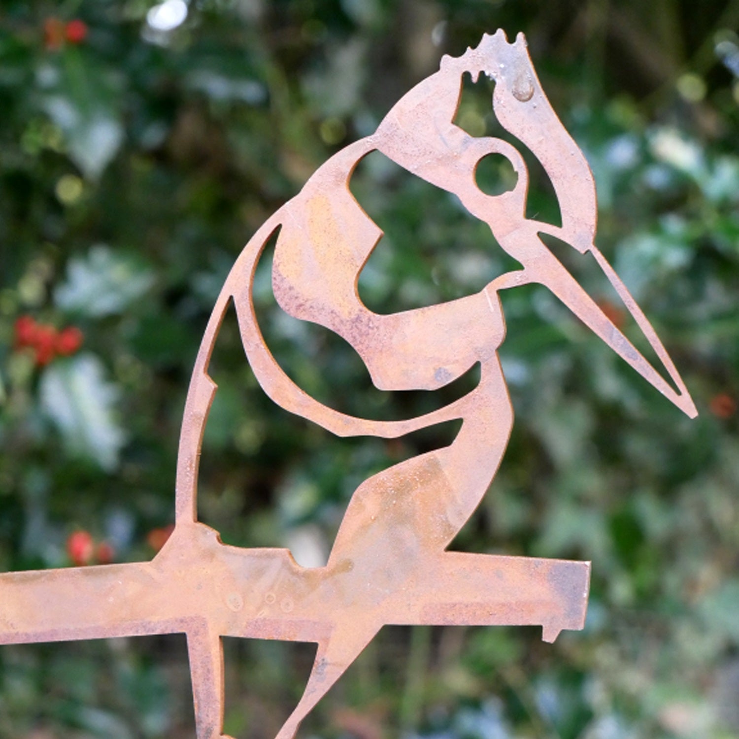 Woodpecker Bird Tree Spike