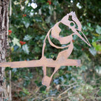 Woodpecker Bird Tree Spike