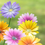 Set Of 12 Metal Flower Garden Stakes