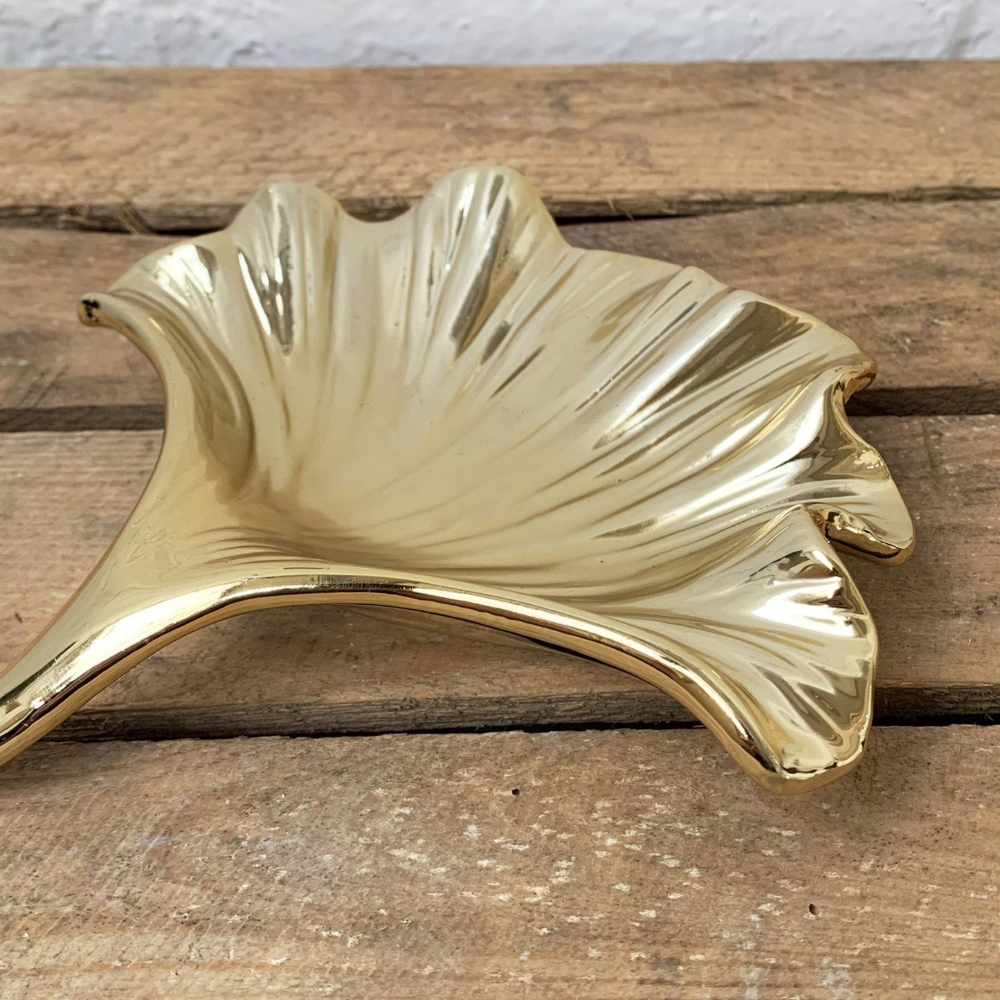 Ginkgo Biloba Leaf Decorative Plate