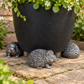Set Of 3 Silver Hedgehog Plant Pot Stands