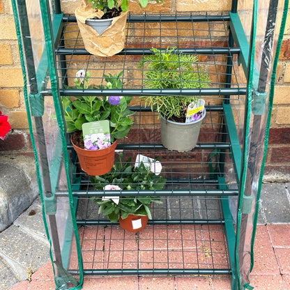 Green 4 Tier Mini Greenhouse