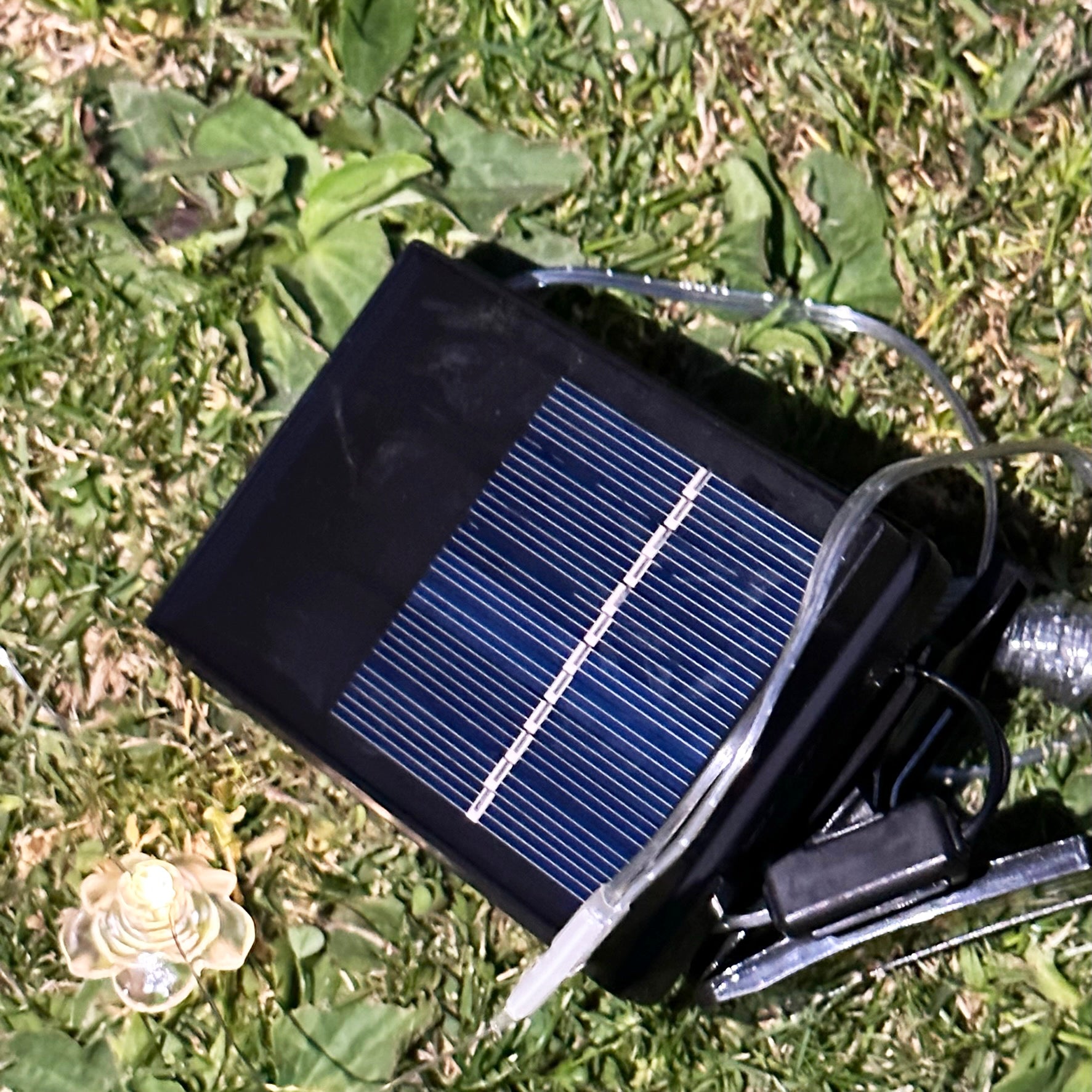 50 Solar-Rosen-Lichterketten für den Außenbereich