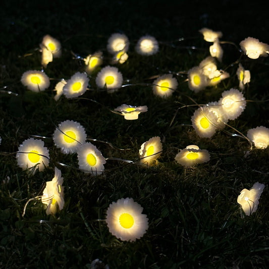 50 Solar Daisy Flower Outdoor String Lights