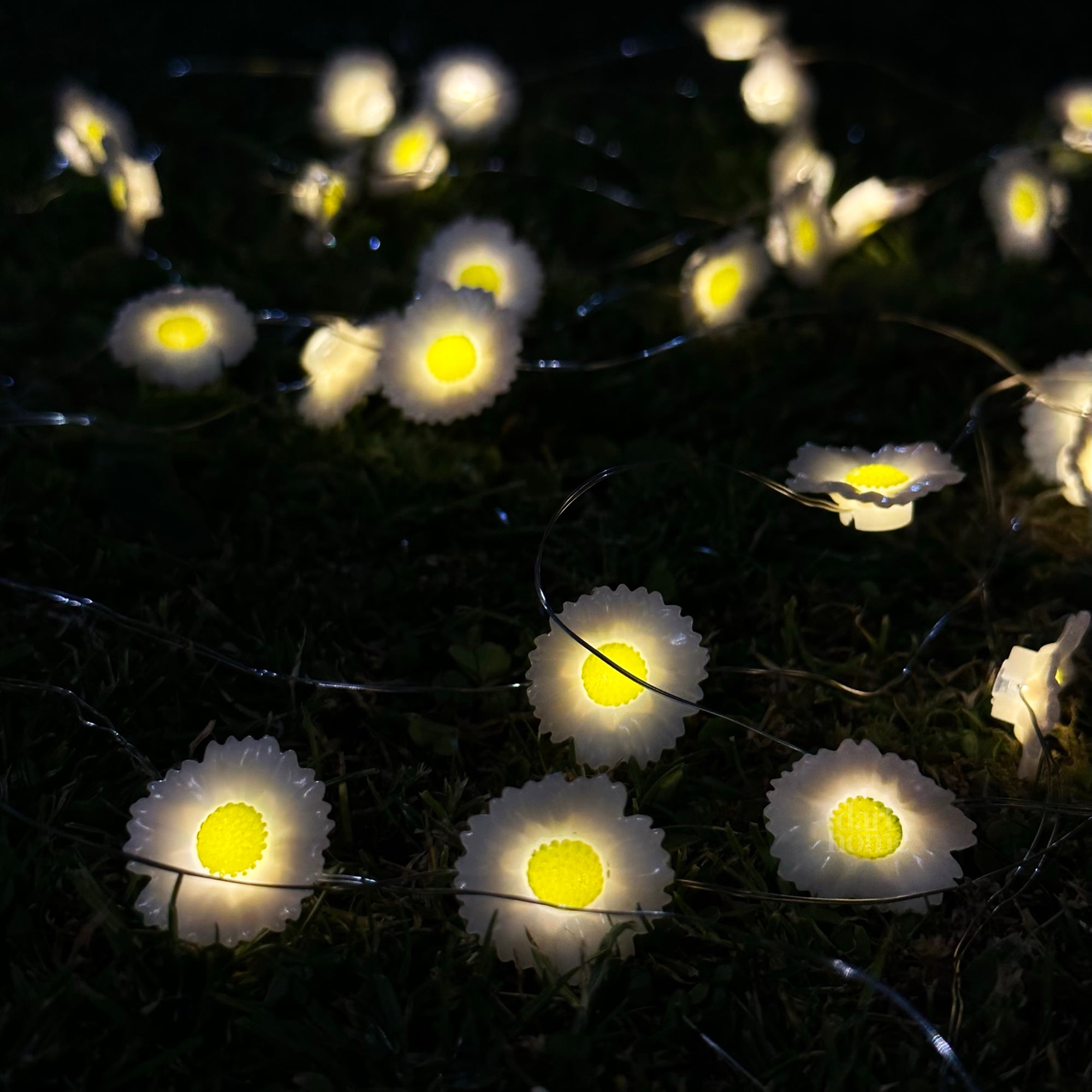 50 Solar Daisy Flower Outdoor String Lights