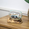 Teak Root On Mini Molten Glass Fruit Bowl