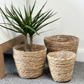 Set Of 3 Woven Cattail Leaf Plant Baskets