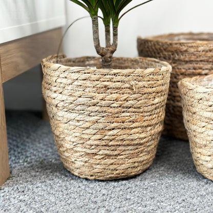 Set Of 3 Woven Cattail Leaf Plant Baskets
