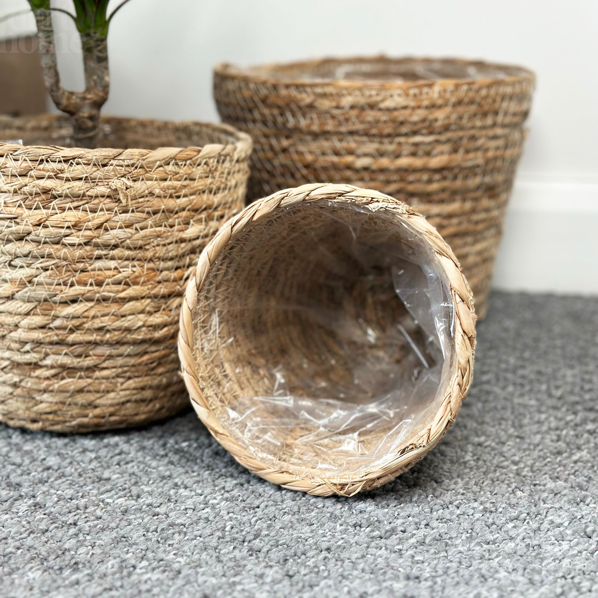 Set Of 3 Woven Cattail Leaf Plant Baskets