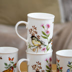 Set Of 4 Garden Birds & Bluebell Mugs