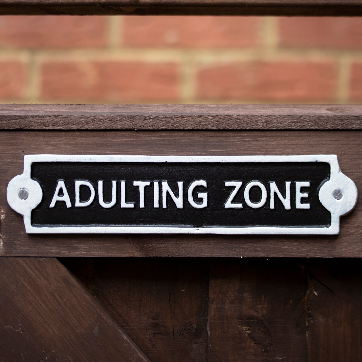 Adulting Zone Wall Sign