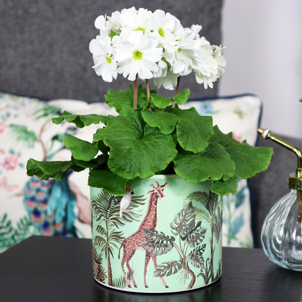 Green Safari Giraffe Plant Pot