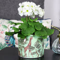 Green Safari Giraffe Plant Pot