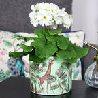 Green Safari Giraffe Plant Pot