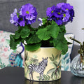 Yellow Safari Zebra Plant Pot