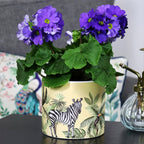 Yellow Safari Zebra Plant Pot