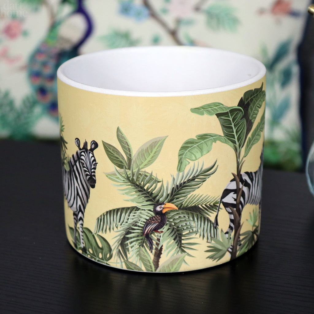 Yellow Safari Zebra Plant Pot
