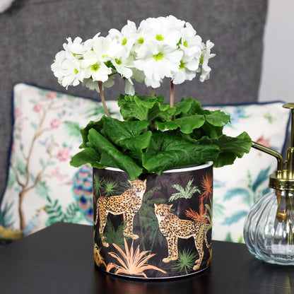 Black Safari Cheetah Plant Pot