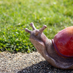 Colourful Snail Garden Ornament