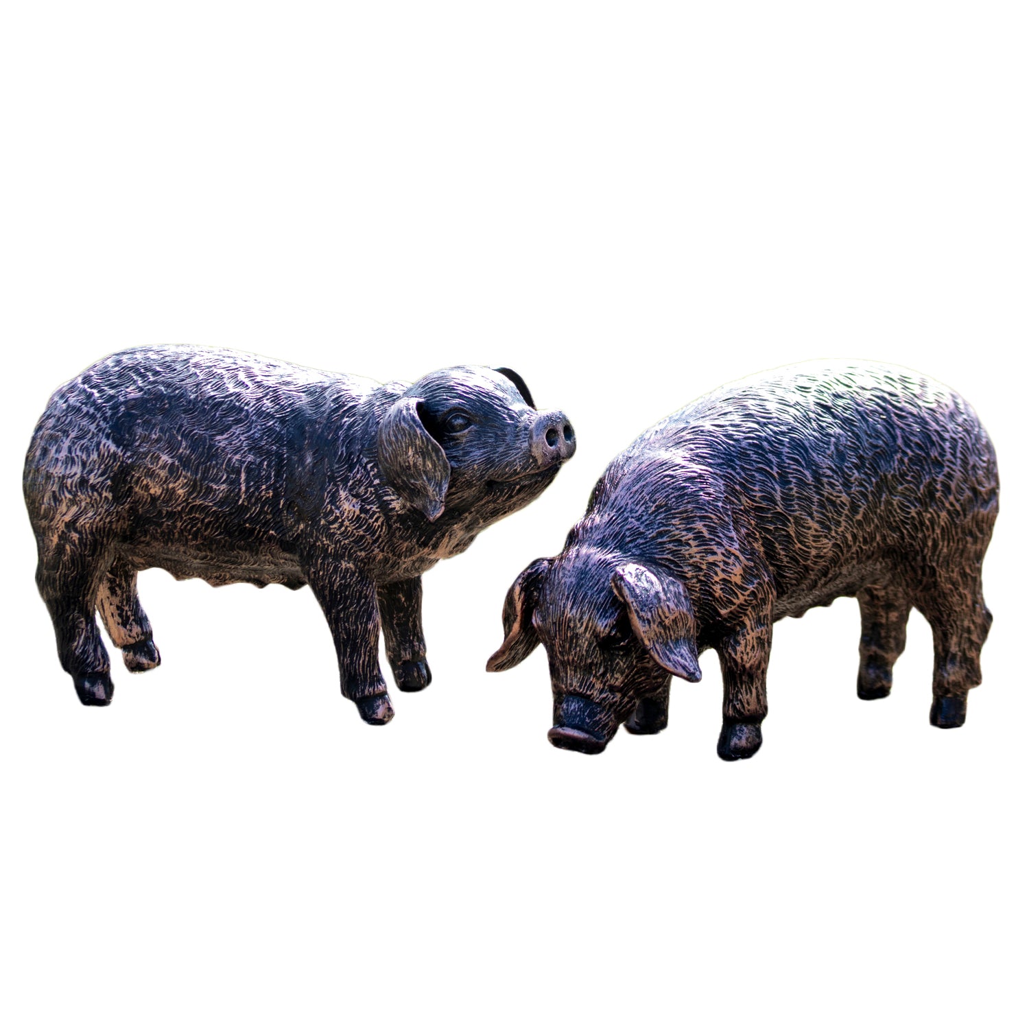 Grazing Pig Garden Ornament - Looking Down