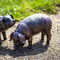 Grazing Pig Garden Ornament - Looking Down
