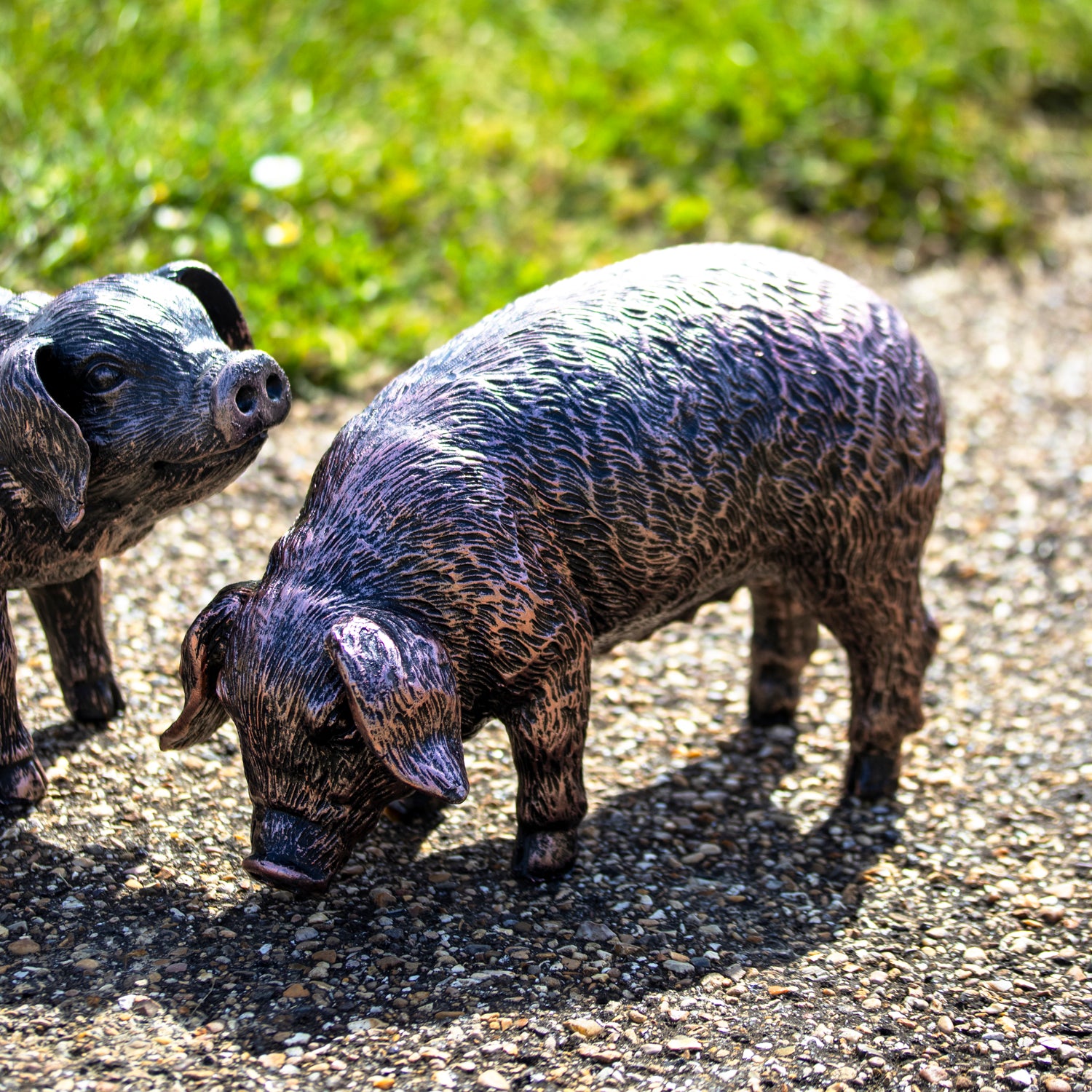 Grazing Pig Garden Ornament - Looking Down