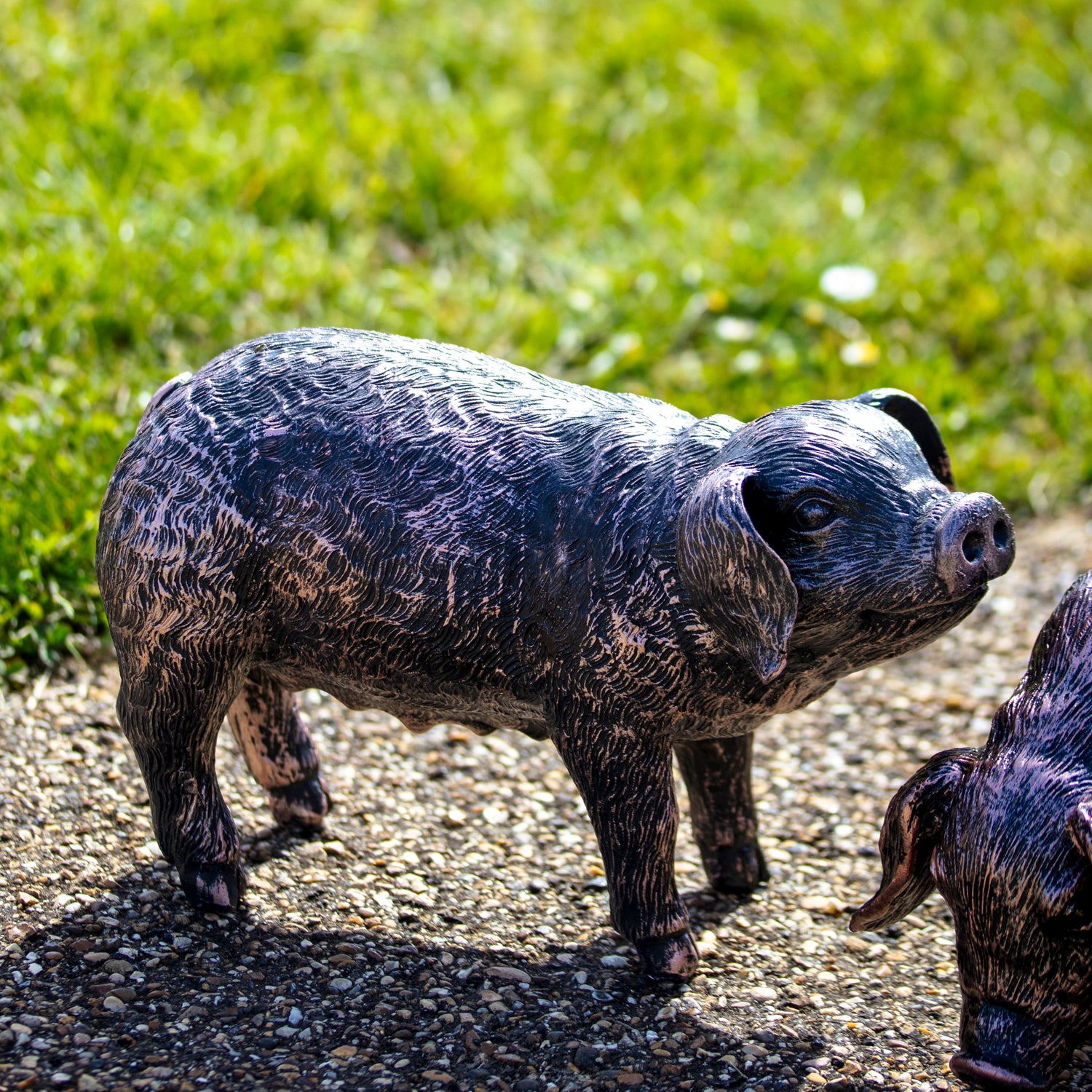 Grazing Pig Garden Ornament - Looking Up
